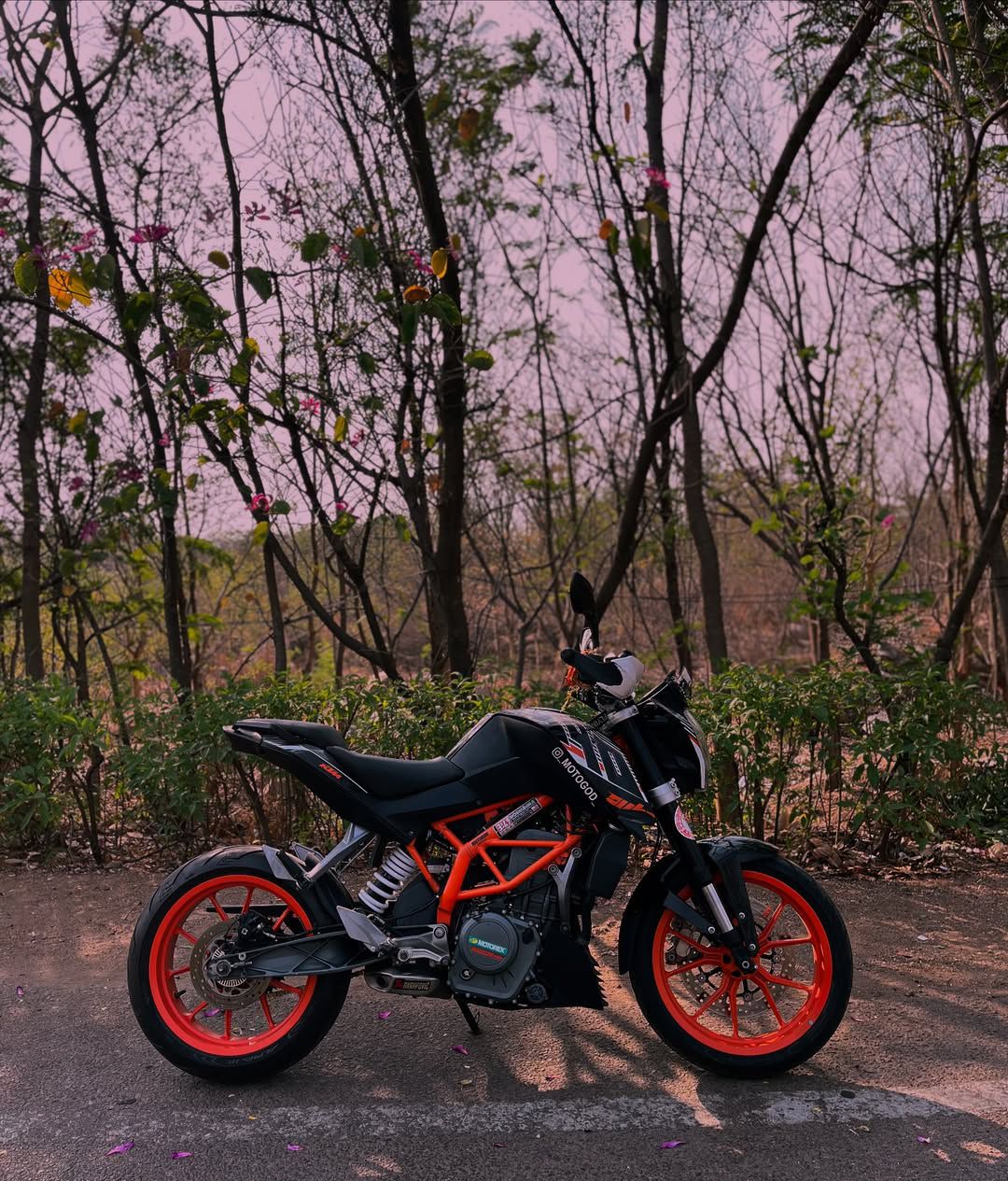 MotoGod 390 β Handbuilt, For Sale